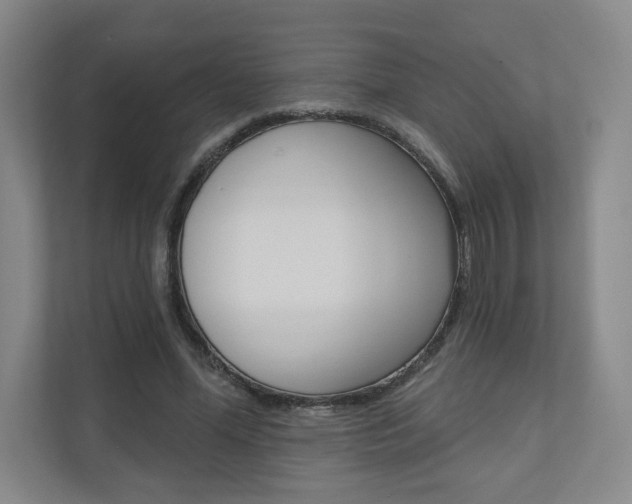 X0000110980588200906191052