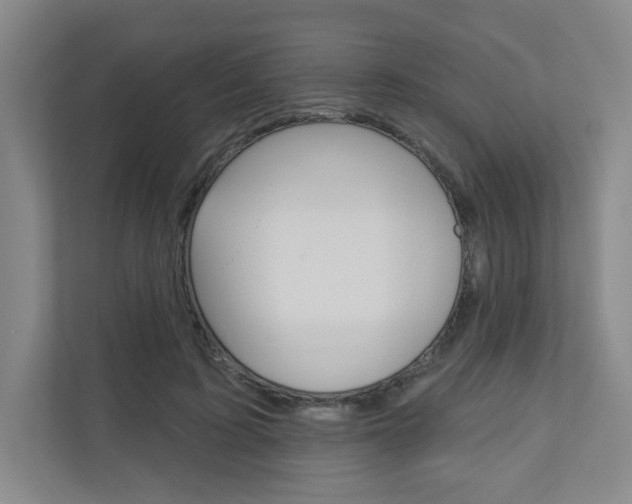 X0000110980595200906191052