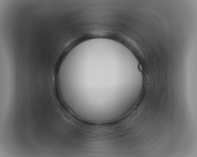 X0000110980596200906191052