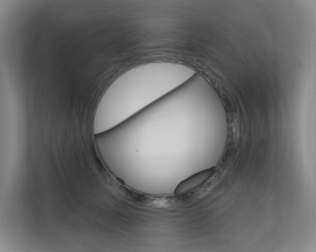 X0000110980611200906191052