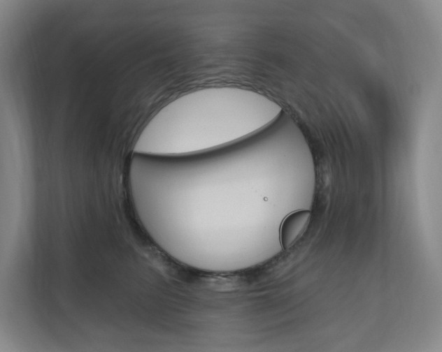 X0000110980615200906191051