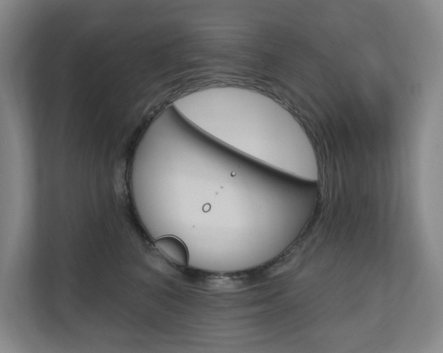 X0000110980616200906191051