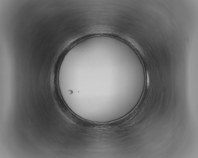 X0000110980627200906191051