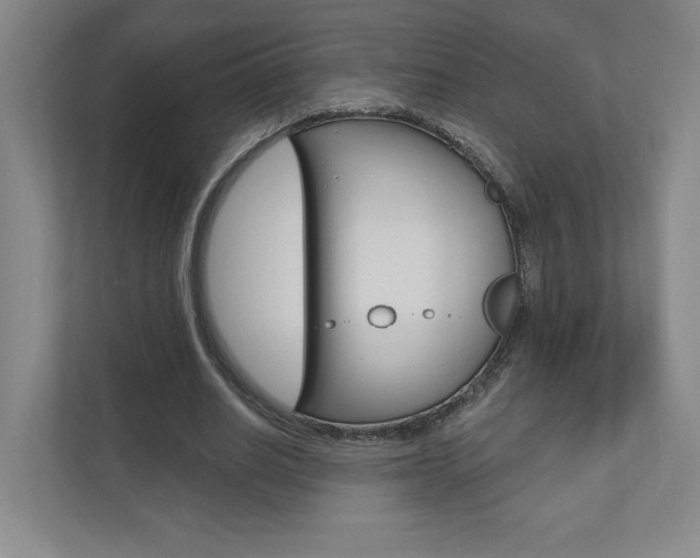 X0000110980630200906191051