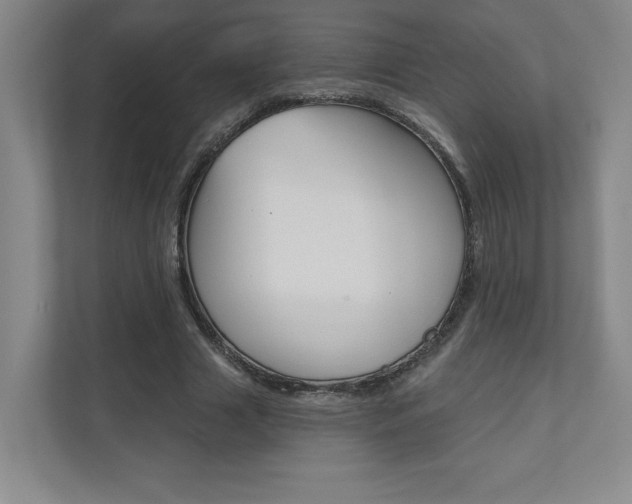 X0000110980633200906191051