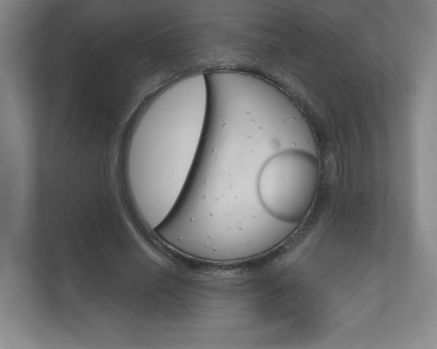 X0000110980638200906191051