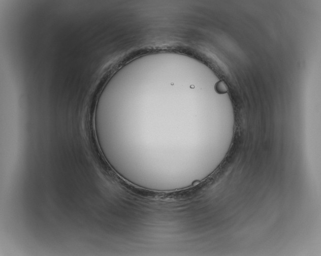 X0000110980640200906191051
