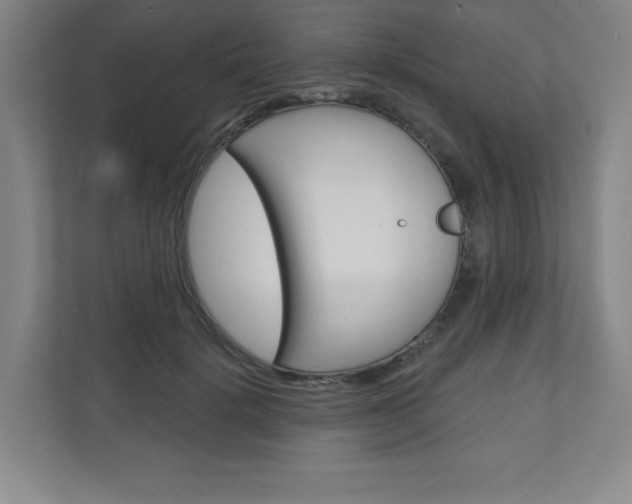 X0000110980652200906191051