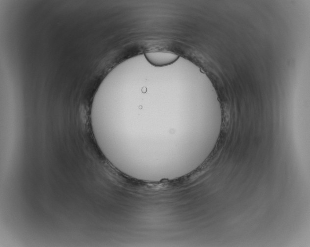 X0000110980667200906191051