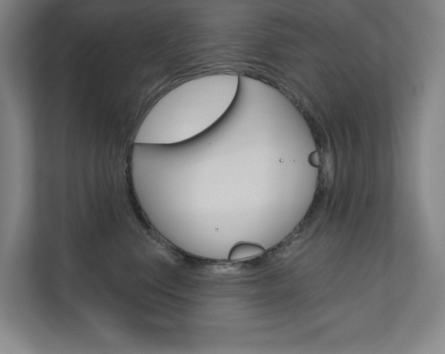 X0000110980668200906191051