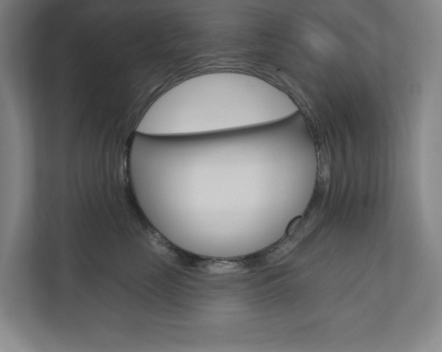 X0000110980669200906191051