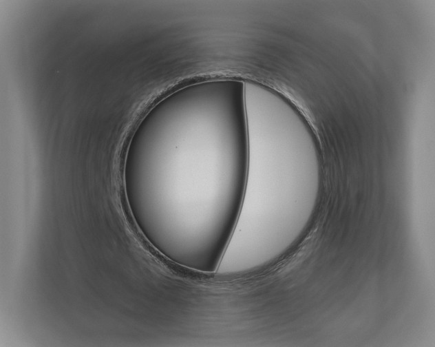 X0000110980673200906191051