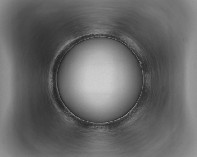 X0000110980676200906191051