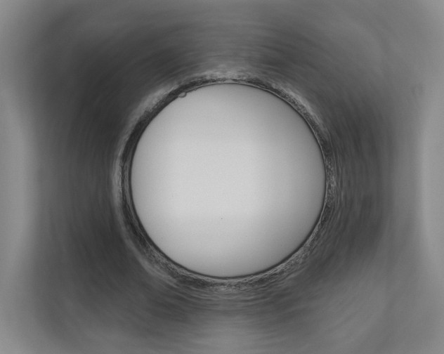 X0000110980678200906191051