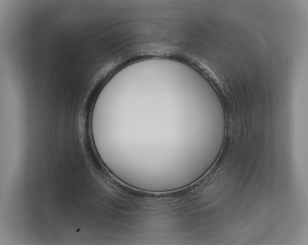 X0000110980679200906191051