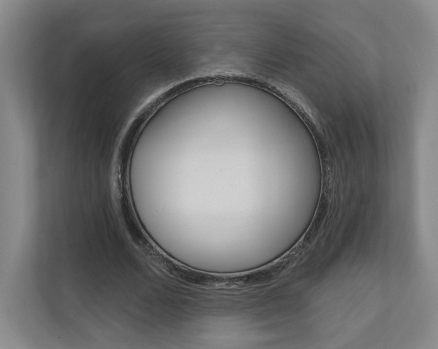 X0000110980680200906191051