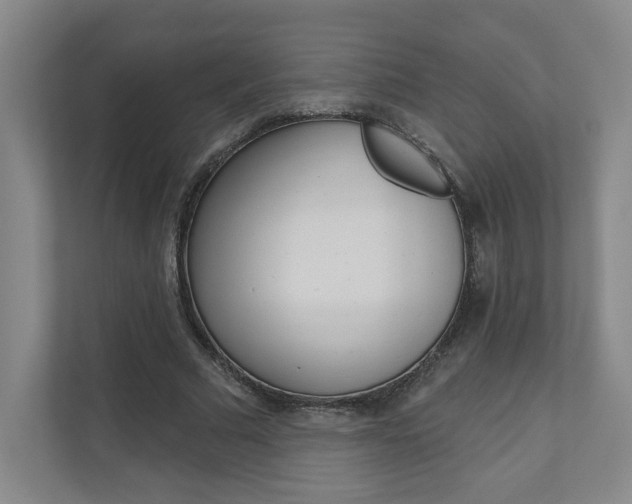X0000110980681200906191051