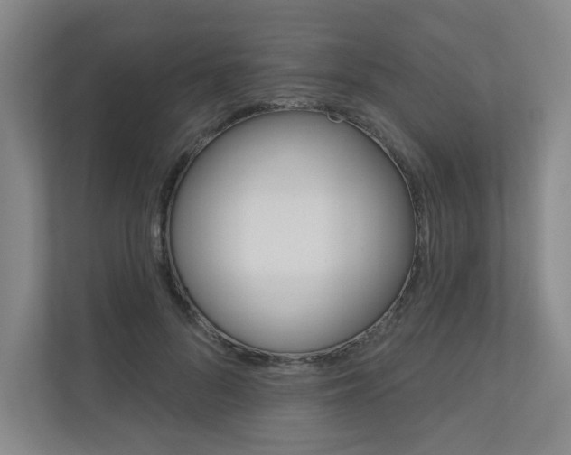 X0000110980696200906191050