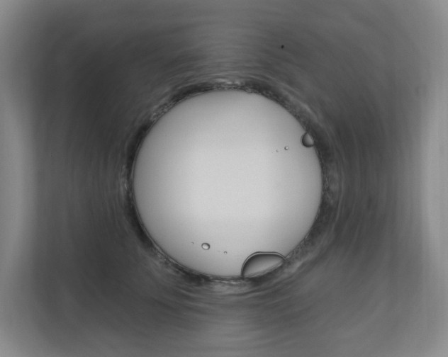 X0000110980707200906191050