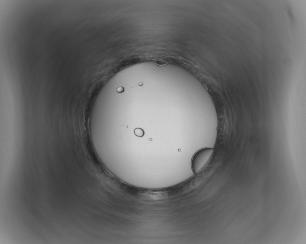 X0000110980711200906191050