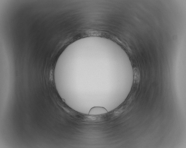X0000110980713200906191050