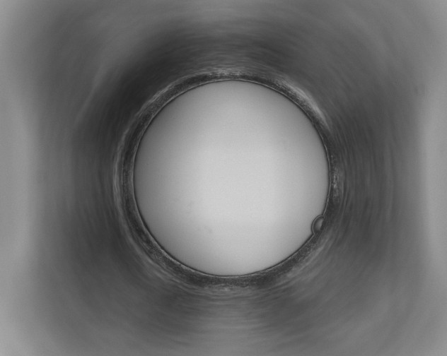 X0000110980722200906191049