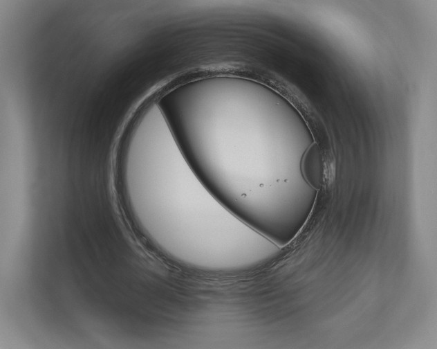 X0000110980724200906191050