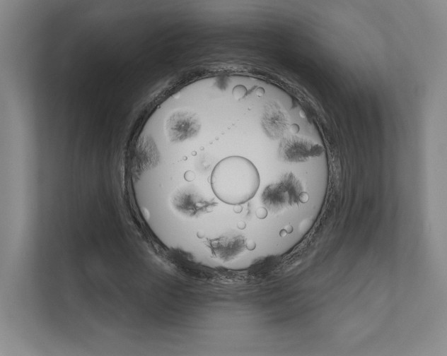X0000110980729200906191050