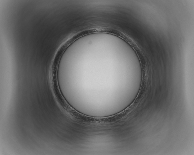 X0000110980730200906191050
