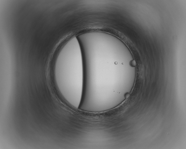 X0000110980731200906191050