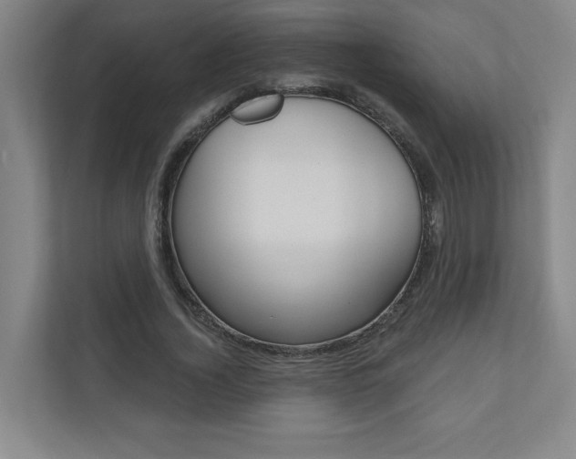 X0000110980732200906191050