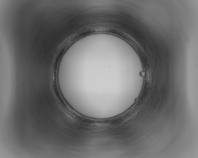 X0000110980733200906191050