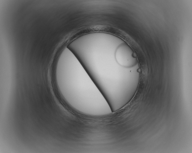 X0000110980734200906191050