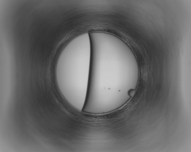 X0000110980735200906191050