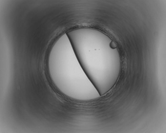 X0000110980738200906191050