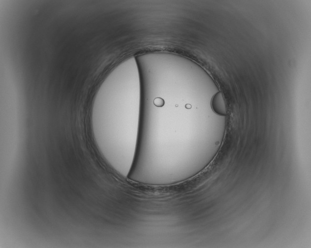X0000110980739200906191050