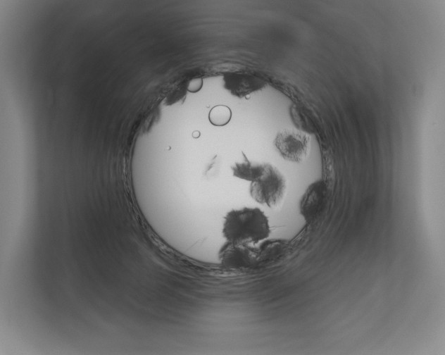 X0000110980745200906191050