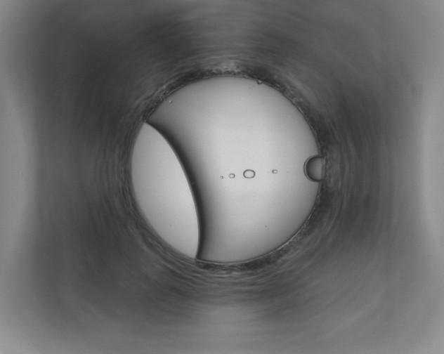 X0000110980747200906191050