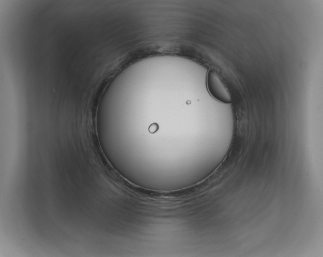 X0000110980748200906191050