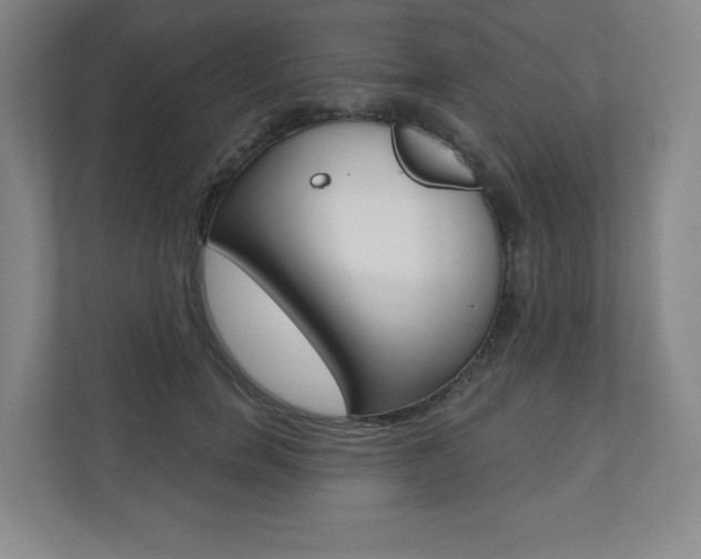 X0000110980750200906191050