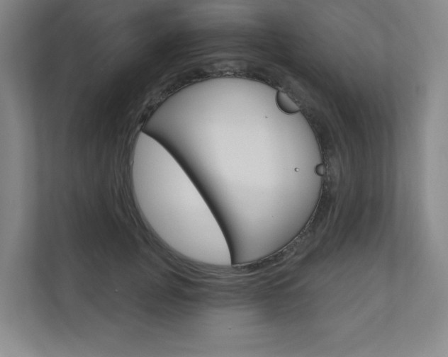 X0000110980751200906191050