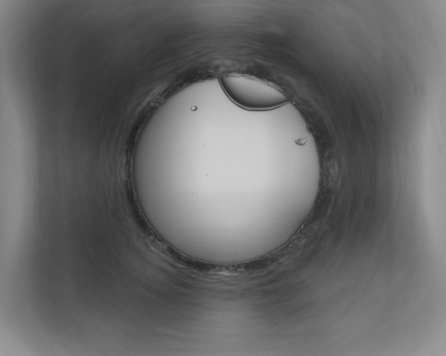 X0000110980756200906191050