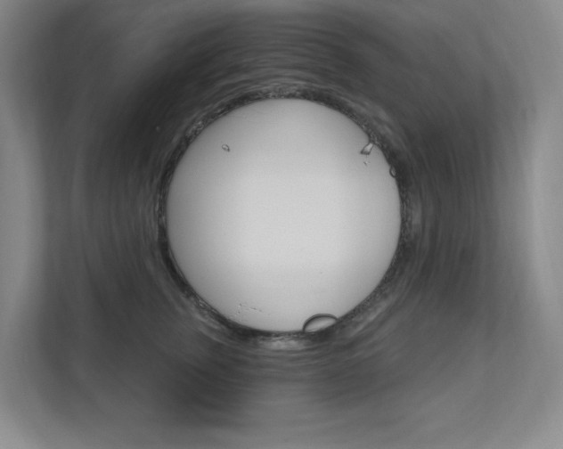X0000110980759200906191050