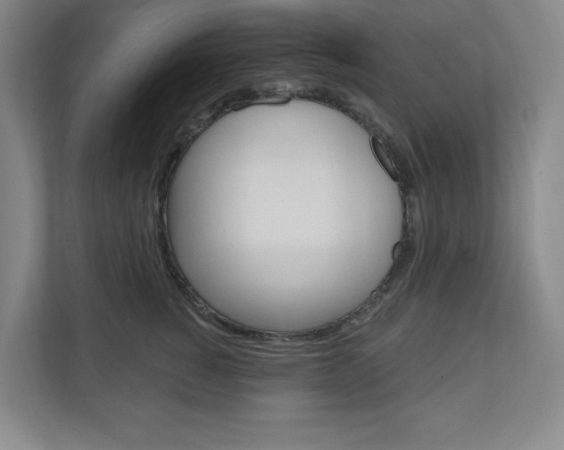 X0000110980760200906191050