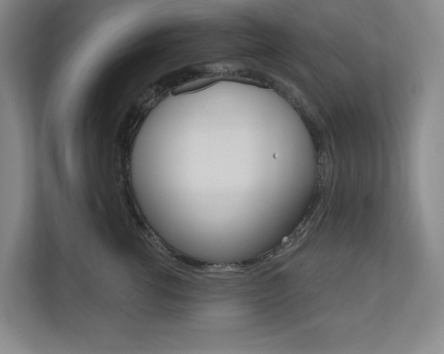 X0000110980762200906191050