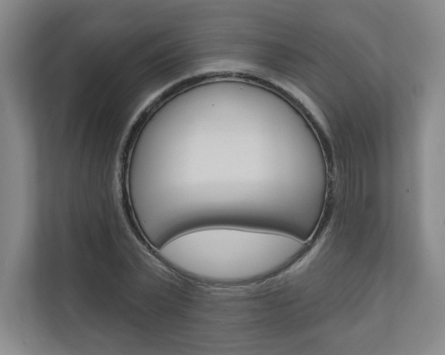 X0000110980783200906191049