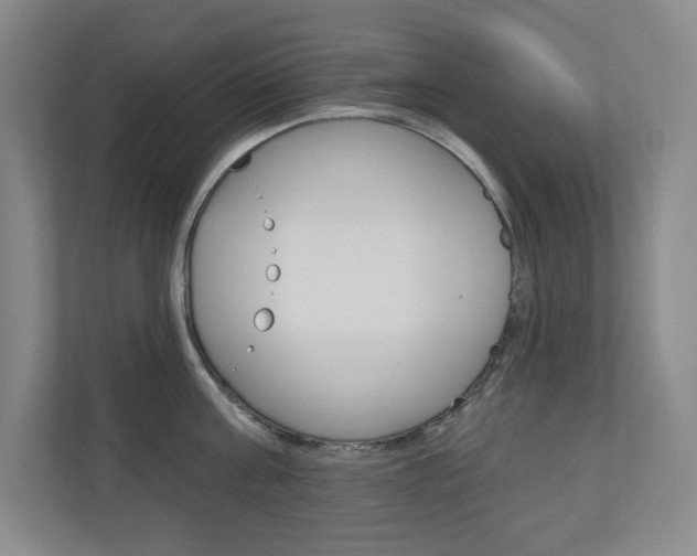 X0000110980811200906191049