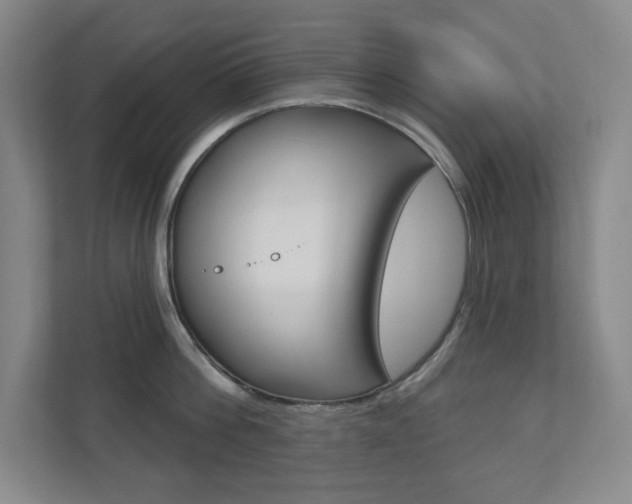 X0000110980812200906191049