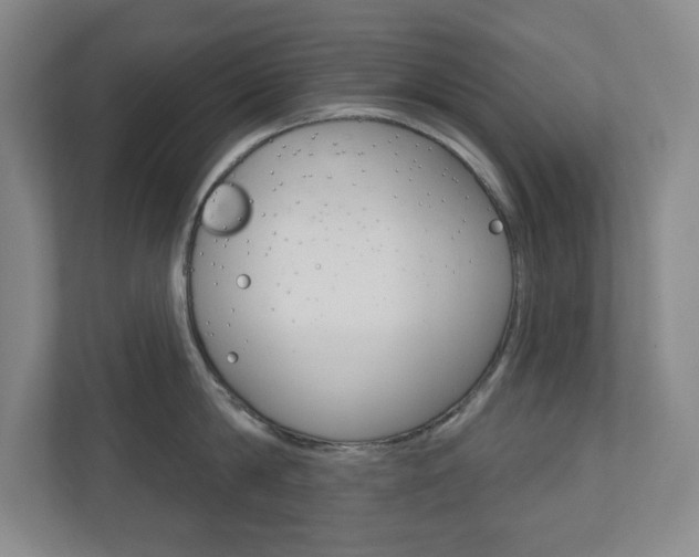 X0000110980814200906191049