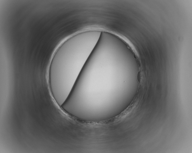 X0000110980815200906191049